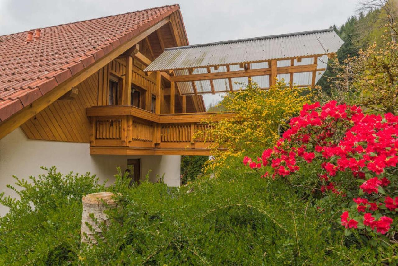 Haus Sigmund Apartment Oberharmersbach Exterior photo